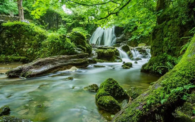 智能节能智能